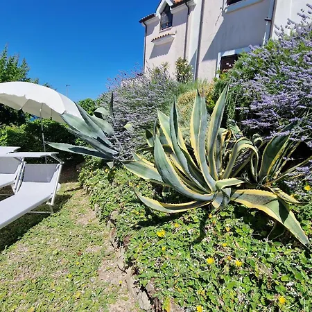 Lägenhet A Casa Di Daniele Porto Potenza Picena